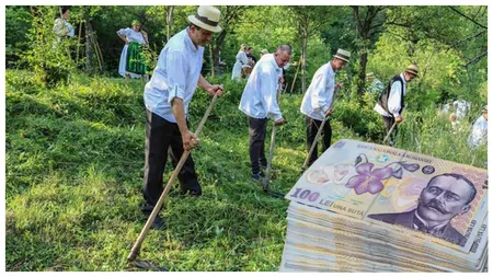 Nici cositul ierbii nu mai e ce a fost odată! Cât costă o zi de coasă în 2023 cu bani de la bugetul de stat