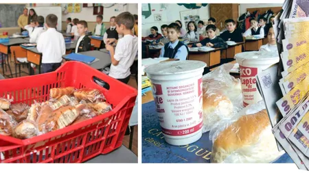 Program lapte și corn 2023-2024. Buget de 742,6 milioane lei pentru elevii români