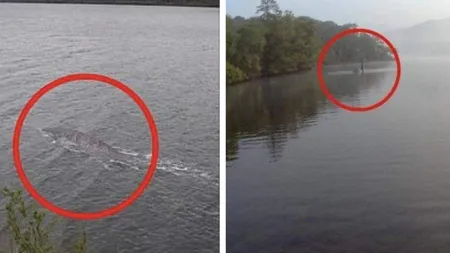 FOTO| Se oferă o nouă recompensă pentru persoana care vine cu dovada că monstrul din Loch Ness există! S-au înscris o mulțime de aventurieri