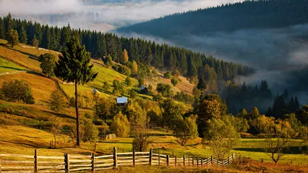 Câți bani ar trebui să scoți din buzunar pentru o vacanță de Crăciun în Bucovina. Oferte avantajoase în această perioadă