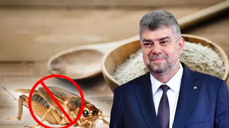 Este oficial! Utilizarea făinii din insecte devine interzisă prin lege. Ce se va regăsi pe eticheta produselor alimentare