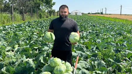Tânărul român care a investit banii câştigaţi muncind în strănătate în agricultura românească. Ionuţ a dat lovitura cu un soi de varză minune