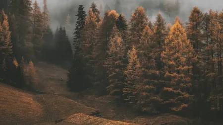 ANM anunță schimbări radicale de vreme. Unde vor fi și 12 grade Celsius