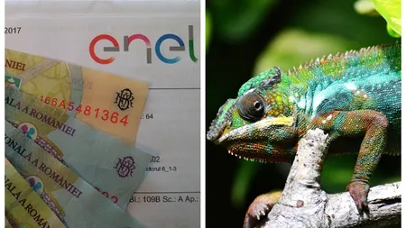 Invenția care reduce facturile la încălzire cu 20%. Metoda „cameleon” a devenit adevăratul inamic al costurilor mari pe perioada iernii