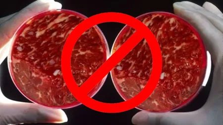 Legea cărnii a fost modificată! Carnea artificială este acum interzisă în România