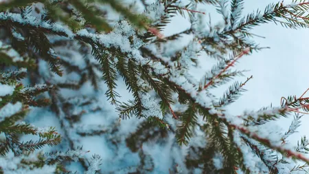 Vortex polar în România! Țara este lovită de lapoviță și ninsoare! ANM anunță zonele afectate