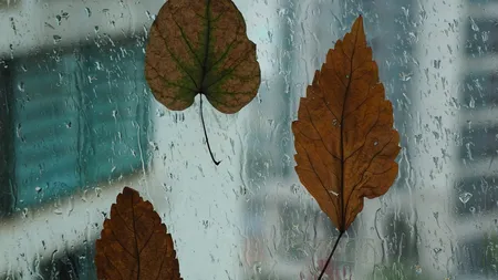 Prognoza meteo pe 4 săptămâni a fost actualizată. ANM anunță când vin ploile