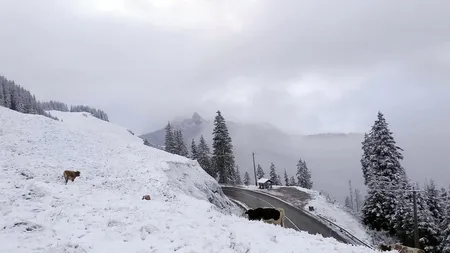 A nins ca în povești în România. Imaginile cu locul acoperit de zăpadă au făcut rapid înconjurul mediului online