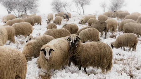 România, vizată de curentul jet. Meteorologii anunță zonele în care iarna își va face apariția