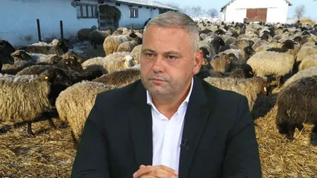 Subvenții tăiate pentru aceste animale. Ministrul Agriculturii a făcut anunțul