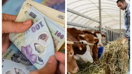 Noi sume alocate pentru ajutorarea fermierilor. Din 2024 se dau 460 de euro la hectar