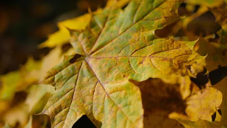 Meteo 13 octombrie - 13 noiembrie. ANM anunță cum va fi vremea în următoarele 4 săptămâni