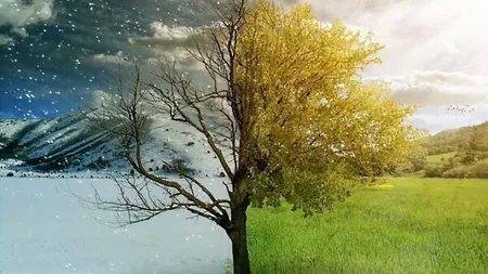 Luna noiembrie aduce două anotimpuri în România. ANM anunță când vin ninsorile