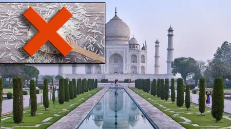A început una dintre cele mai mari crize din ultimii 20 de ani. India a interzis exportul unui aliment de bază!