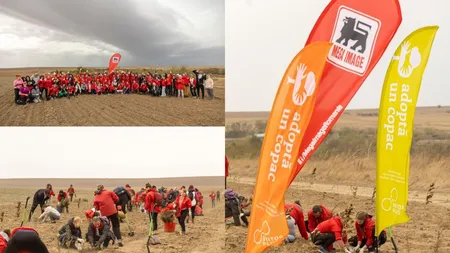 Mega Image contribuie la dezvoltarea unui viitor sustenabil pentru mediu. Se plantează o nouă pădure de 12.000 de copaci, unul pentru fiecare angajat