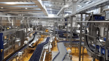 Incredibil! Un muncitor dintr-o fabrică de bere din Germania are salariul echivalent unui director din România!