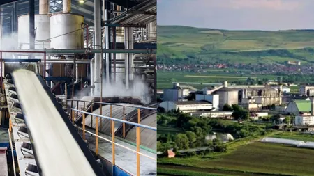 Discuții tensionate la fabrica de zahăr de la Luduș între fermieri și proprietari. Fermierii riscă să rămână cu producţia de sfeclă în câmp