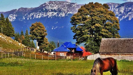 Stațiunea din România cu cel mai curat aer. Neașteptat cât de aproape de Capitală este