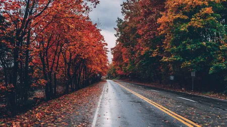 Se răcește vremea în România. ANM anunță ploi, ceață și vânt puternic. Iată cum va fi vremea până pe 5 noiembrie