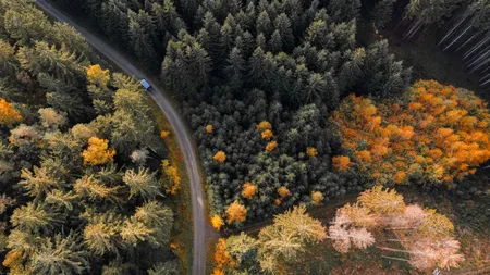 Meteo 7-14 noiembrie. ANM anunță cum va fi vremea în România. Sunt așteptate precipitații sub formă de lapoviță și ninsoare