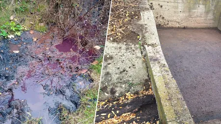 Poluare cu pălincă de Bihor. Pălincarii din județ s-au ales cu amenzi uriașe de la Garda de Mediu