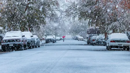 Cod roșu de viscol și ninsori în 6 județe din România! 20 de drumuri naționale și porturile de la Marea Neagră au fost închise. Autoritățile sunt în alertă!