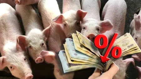 Sărbători 2023. Se anunță scumpiri majore. Carnea de porc va suferi majorări de peste 20%