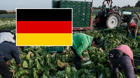 Cât cheltuiește pe lună un român stabilit în Germania. A făcut calculul, iată suma totală care a rezultat la final