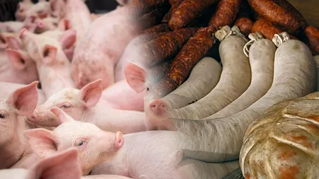 Vouchere de 1.000 de lei pentru porcul de Crăciun, timp de 5 ani. Cine va beneficia de aceste tichete