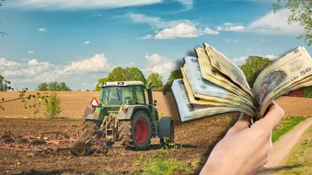 Prețul unui hectar de teren arabil în România! Regiunea face diferența!