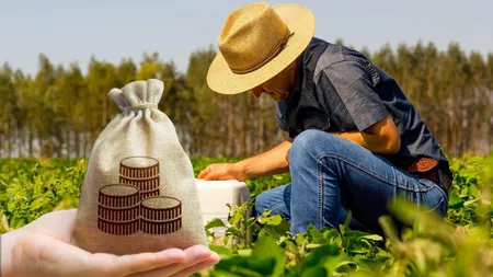 Ajutoare de peste 1,2 miliarde de lei pentru fermieri. Banii vor fi alocați de Guvern