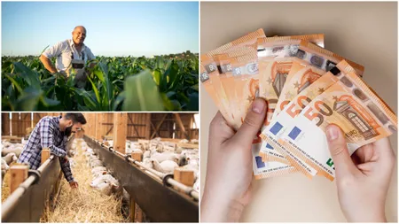 APIA a plătit peste 630 milioane de lei către fermieri într-o singură săptămână. De unde au venit banii