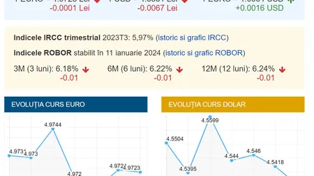 Curs schimb valutar 11 ianuarie. BNR anunță ce se întâmplă azi cu lira, euro, dolarul și gramul de aur