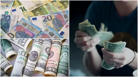 Curs valutar BNR, marți, 30 ianuarie 2024. Principalele valute pierd teren în fața leului românesc