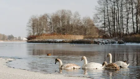 Meteo 23 ianuarie – 19 februarie. ANM anunță schimbări majore de vreme în România