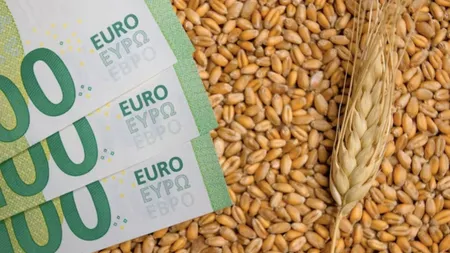 Culmea agriculturii. Grâul şi porumbul se vând cu 20-30% mai ieftin decât acum un an, dar pâinea, carnea şi laptele sunt mai scumpe cu 4-12%