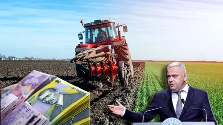Credite pentru fermieri 2024. Guvernul pregătește două ordonanțe pentru a-i ajuta pe agricultori să obțină finanțarea necesară în condiții avantajoase
