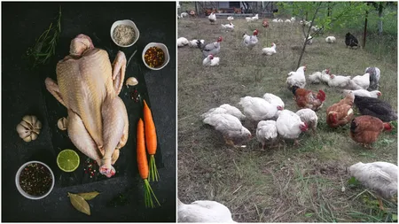 Prețul uriaș cu care a ajuns să se vândă puiul de țară! Cei mai mulți români nu își pot permite această „delicatesă”