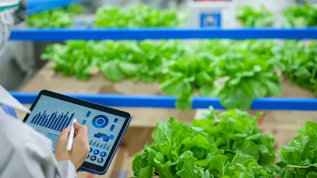 Rolul ERP în gestionarea producției sezoniere în industria alimentară