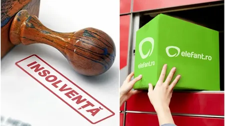Este oficial! Tribunalul București a aprobat insolvența Elefant.ro