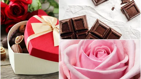 Date INS: Olanda și Germania, țările de unde România a importat la greu flori și ciocolată în 2023