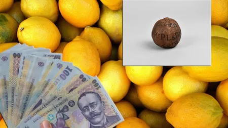 O lămâie veche de 285 de ani s-a vândut pe o sumă imensă de bani! Motivul pentru care oamenii se luptă la licitație pentru ea