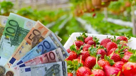 Sunt disponibile 129 de locuri de muncă pentru români în Europa. Lista posturilor oferite de angajatorii străini