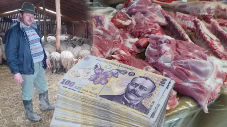 Cât va costa mielul de Paște în 2024. Fermier: Investiția este mai mare pe an ce trece, plecând de la porumb, de la furaje, toate cresc