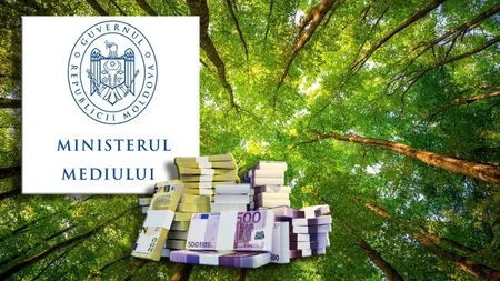 Vor fi plantate 56.000 de hectare de păduri noi până în 2026. 730 de milioane de euro din PNRR, alocați pentru acest program