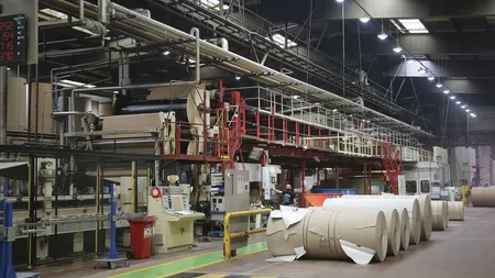 Gigantul francez Rossmann deschide prima fabrică în România şi anunţă angajări. Câte locuri sunt disponibile