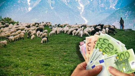 Povestea tânărului italian care s-a lăsat de liceu și a urmat cursuri speciale pentru a deveni cioban. Acum câștigă mai mult decât un medic rezident din România