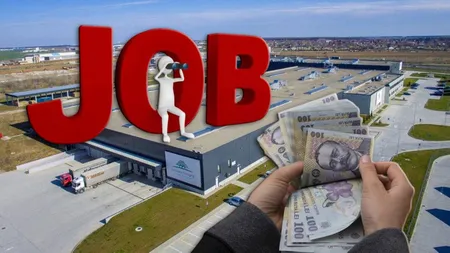 O mare firmă din România face angajări! Se dau salarii de 5000 de lei și primă de 1000 de lei 