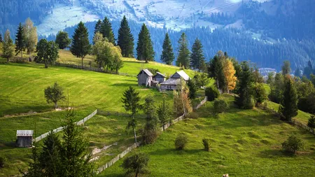 Ce răspund românii unei familii de emigranți în SUA care ar vrea să se întoarcă în țară: ”În România se mediatizează fenomenul corupției, pe când în alte țări nu”