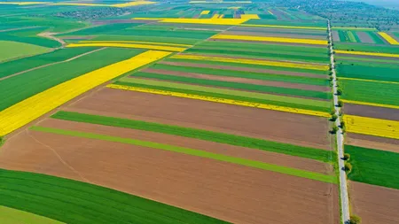 Ministerul Agriculturii a lansat aplicaţia care înlesneşte cumpărarea şi vânzarea terenurilor agricole